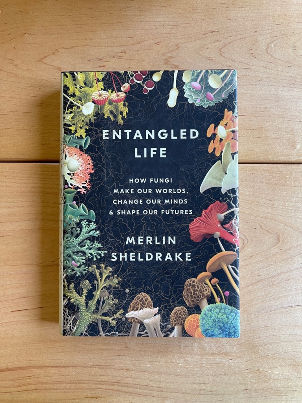 Entangled Life by Merlin Sheldrake - New Condition